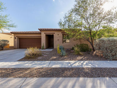 2944 S Smokin Pistol Way Tucson, AZ 85713