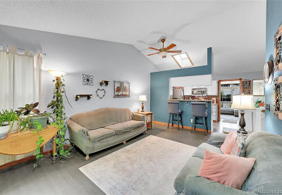 5323 E Sandpiper Ave Castle Rock, CO 80104