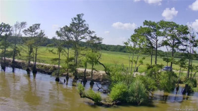 0 Dupont Rd Lake Arthur, LA 70549