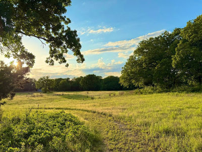 9213 Scenic Dr Pilot Point, TX 76258