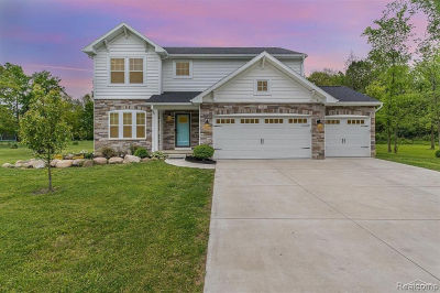 7302 Geraldine Cir Swartz Creek, MI 48473