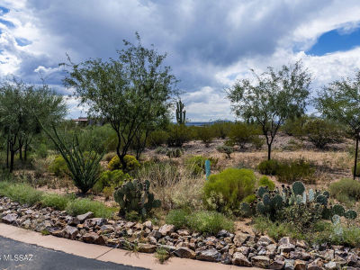 111 N Gunflint Pl #189 Sahuarita, AZ 85629