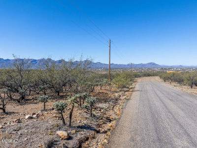 1841 Calle Caracol #56-RIO Rio Rico, AZ 85648