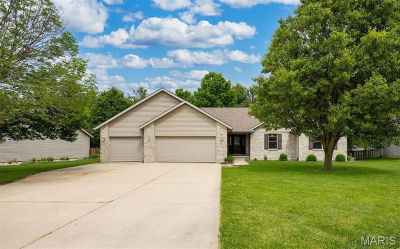 248 Prairie Grass Rd Chatham, IL 62629