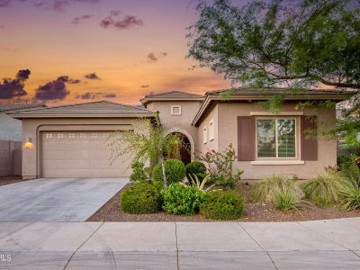 2527 N 212th Dr Buckeye, AZ 85396