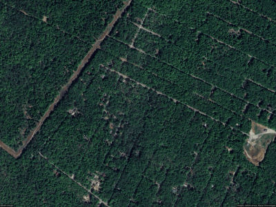 8 Shadylane Dr Newfoundland, PA 18445