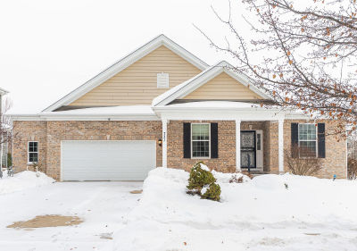 731 Slate Run Elgin, IL 60124