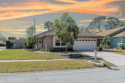 1502 Allenton Ave Brandon, FL 33511