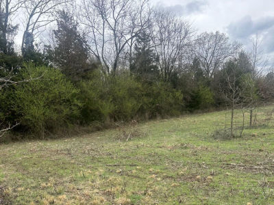 2852 County Road 3411 Clarksville, AR 72830