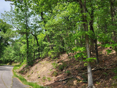 Union St Hot Springs National Park, AR 71901