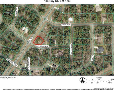 (undisclosed Address) Ocklawaha, FL 32179