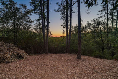 0 Manzanita Rd Sutter Creek, CA 95685