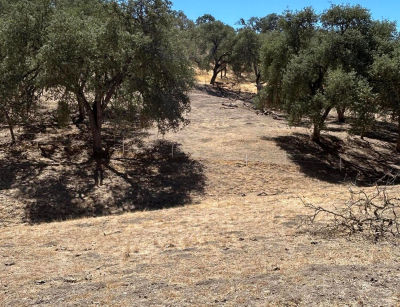 77517 Lowes Canyon Rd San Miguel, CA 93451