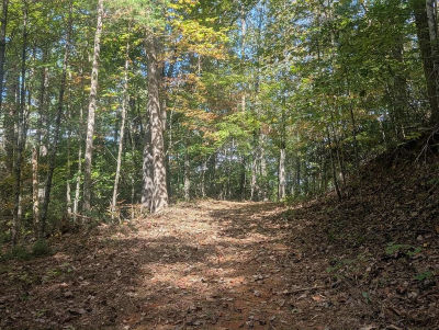 5.47 Ac Sierra Run Blairsville, GA 30512
