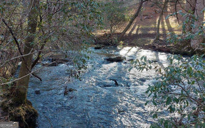 193 Opossum Rd #61 Blairsville, GA 30512