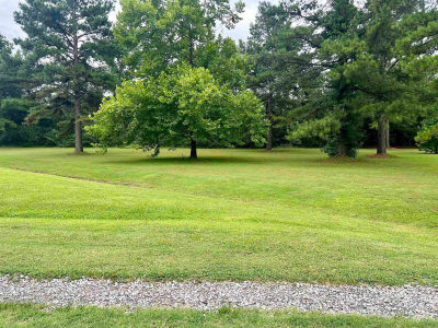 0 Mountain Side Dr #117 Pangburn, AR 72121