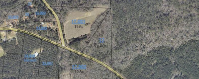 59/ACRE S County Road 321 Elba, AL 36323