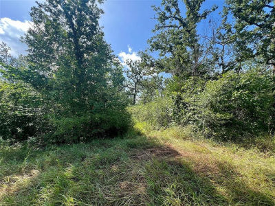 990 Big Berry Rd LOT 28 Somerville, TX 77879