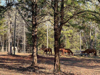 9138 N County Road 2138 Tatum, TX 75691