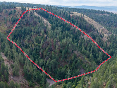 Nhn Copper Ridge Trl Florence, MT 59833