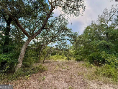 6005 & 6007 Tree Top Ln Blackshear, GA 31516