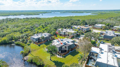 113 Cedar Dunes Dr New Smyrna Beach, FL 32169