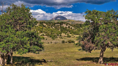 4107 Road 31 Cahone, CO 81320