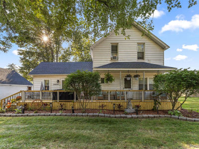 24436 Mount Olive Dr Brownstown, MI 48134