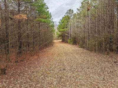 LOT 48 Highway 79 S Pine Bluff, AR 71603