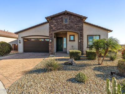 24127 N 172nd Ln Surprise, AZ 85387