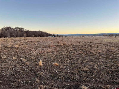 Tbd Spring Creek Rd Montrose, CO 81403