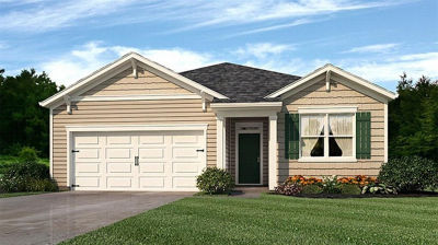 234 Kennelsman Dr Griffin, GA 30224