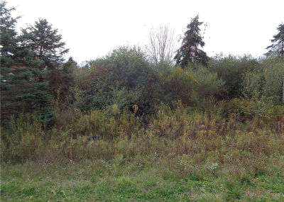 LOT 4 Woodcrest Dr LOT 4 Painted Post, NY 14870