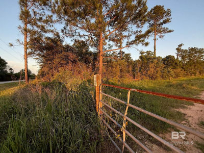 0 County Road 32 Elberta, AL 36530