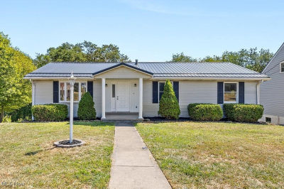 878 Donegal Dr E Follansbee, WV 26037