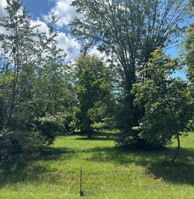 113 Doe Dr Sardinia, OH 45171