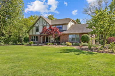 21326 N Elder Ct Kildeer, IL 60047