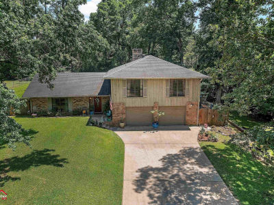 905 Moonbeam Ave Center, TX 75935