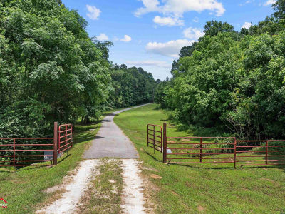 12493 State Highway 87 S Shelbyville, TX 75973