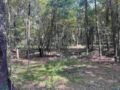 County Road 476 S Henderson, TX 75654