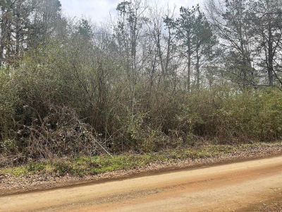 606 County Road 3140 Center, TX 75935