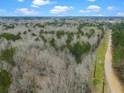 Saint Hwy #147 Center, TX 75935