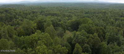 144 Gunter Pl Sunbright, TN 37872