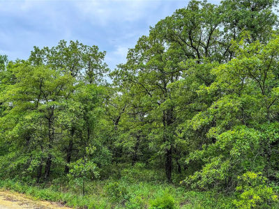 143 Briarwood Trl Nocona, TX 76255