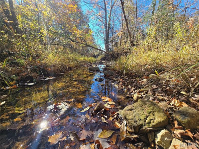 42 Highway 32 Bismarck, MO 63624