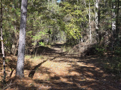 7501 Rainey Morris Rd Appling, GA 30802