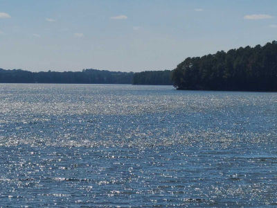 171 Goodlett Lane, Blair, SC, USA