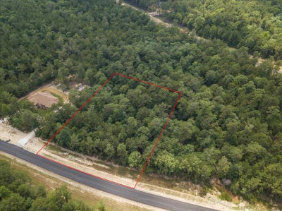 15577 Republic Park Trail, Willis, TX