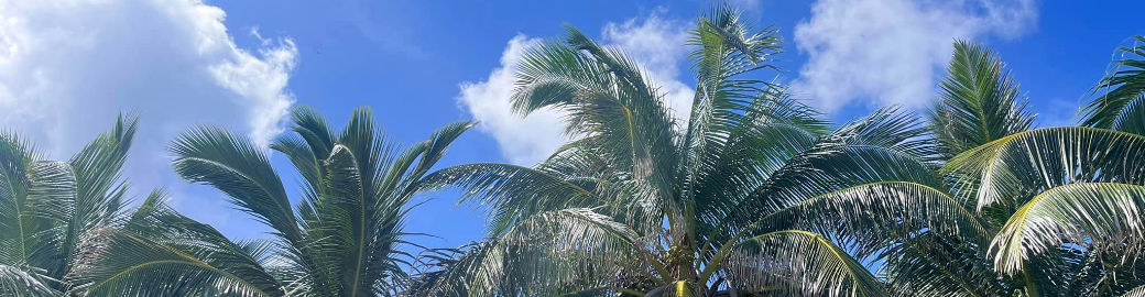 Olga Sexson Top real estate agent in Indian Shores