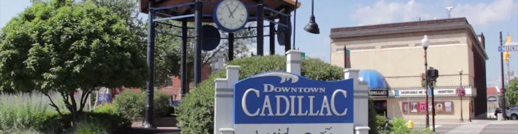 Amy Leach Top real estate agent in Cadillac